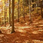 Kurpark Flair Im Ilsetal 3* Ilsenburg