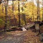 Kurpark Flair Im Ilsetal Ilsenburg