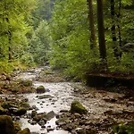 Kurpark Flair Im Ilsetal Ilsenburg