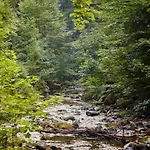 ホテル Kurpark Flair Im Ilsetal イルセンブルク