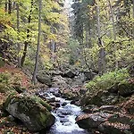 Kurpark Flair Im Ilsetal 3* Ilsenburg