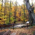 Kurpark Flair Im Ilsetal Hotel 3*