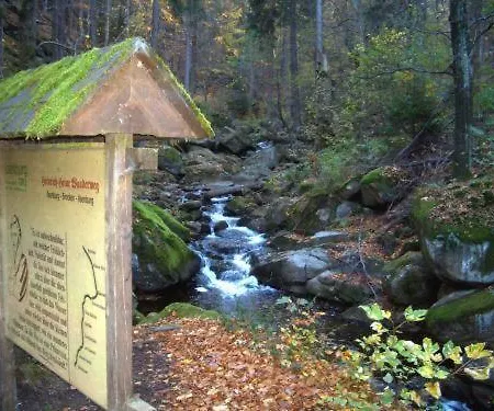 Hotel Kurpark Flair Im Ilsetal 3*
