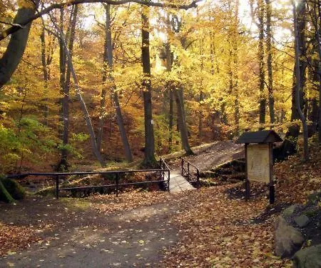 Kurpark Flair Im Ilsetal Ilsenburg