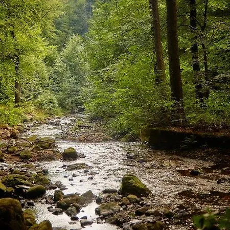 Kurpark Im Ilsetal Ilsenburg
