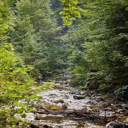 فندق Kurpark Flair Im Ilsetal السنبرغ