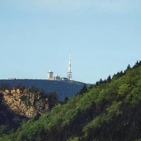 Отель Kurpark Hotel Im Ilsetal 3*