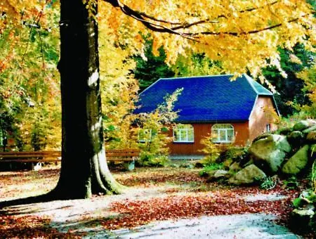 Kurpark Im Ilsetal 3* Ilsenburg