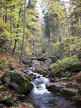 Kurpark Im Ilsetal 3* Ilsenburg