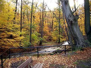 Kurpark Im Ilsetal Hotel 3*
