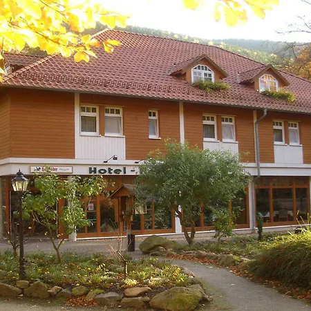 فندق Kurpark Flair Im Ilsetal 3*