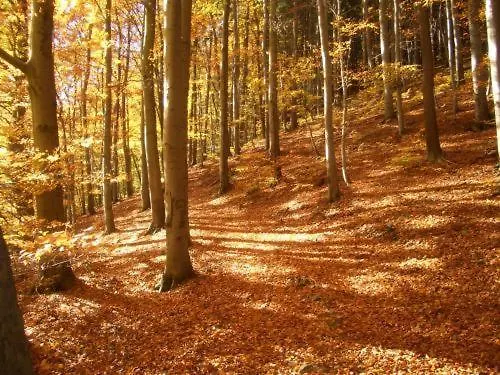 Kurpark Flair Im Ilsetal 3* Ilsenburg