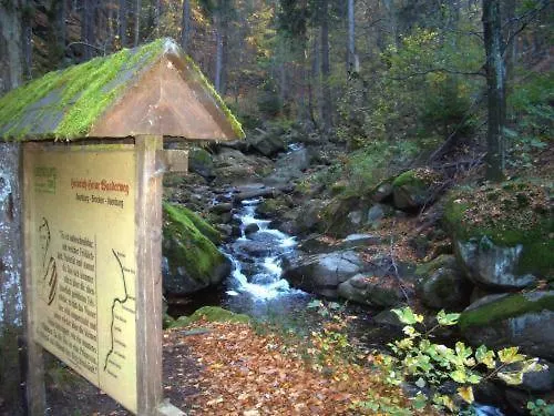 Отель Kurpark Flair Im Ilsetal 3*