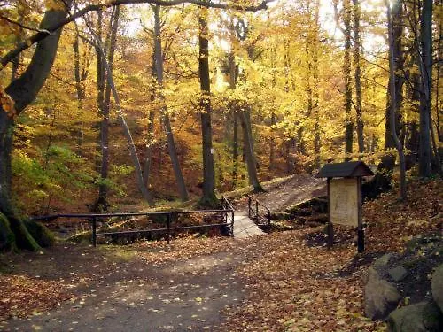Kurpark Flair Im Ilsetal Ilsenburg