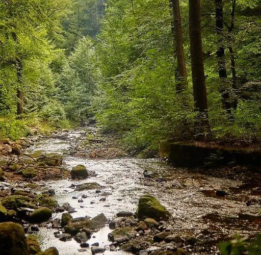 Kurpark Flair Im Ilsetal Ilsenburg