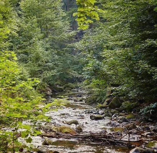 Szálloda Kurpark Flair Im Ilsetal Ilsenburg