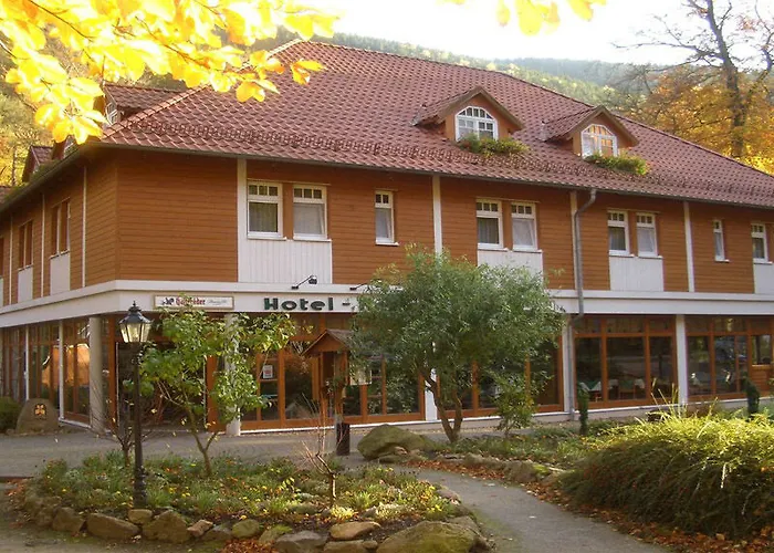 Отель Kurpark Flair Im Ilsetal 3*